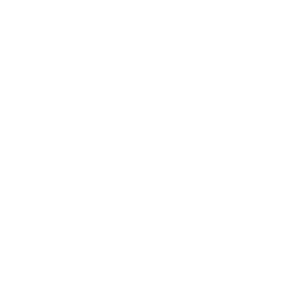 GAUDISKINのロゴ