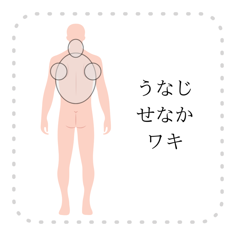 ひざ下とワキの組み合わせ例