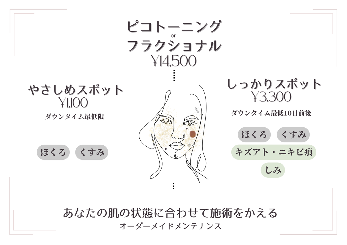 ピコスポットの料金と組み合わせイメージ